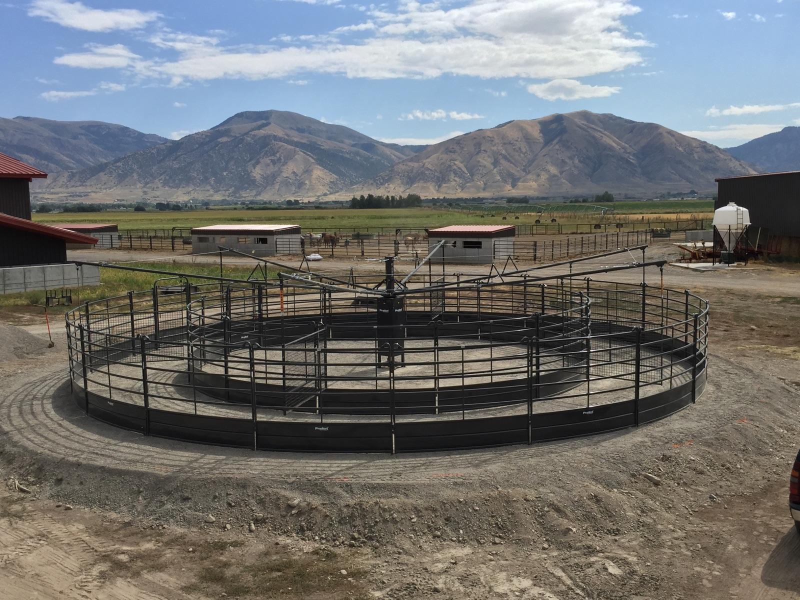 UTAH Bryce Roholt 1956.jpg